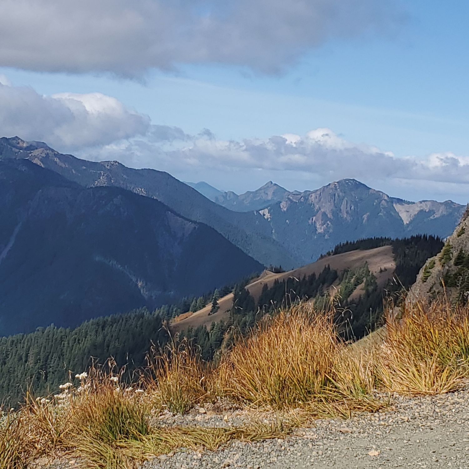 Olympic NP 